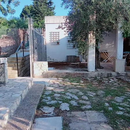 Del Carrubo