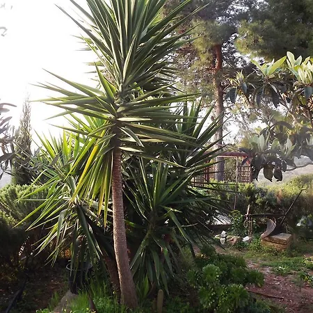 Casa Del Carrubo Holiday home *