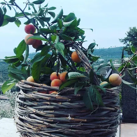 Casa Del Carrubo * Vieste